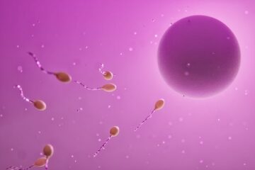 Sperm quality issues in Men